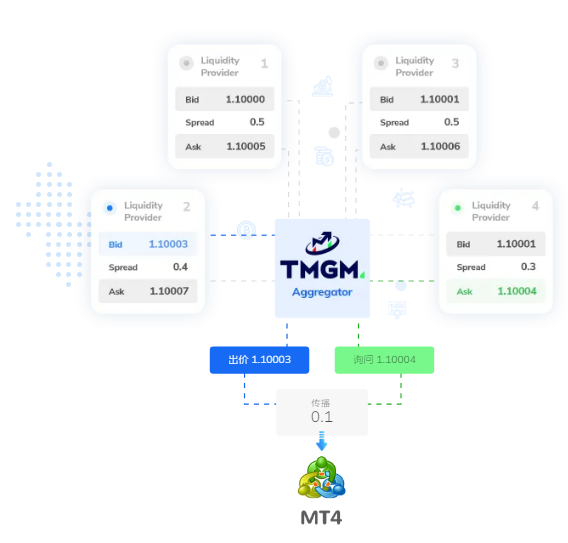 TMGM(图1)