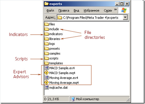外汇EA文件的安装和使用(图1)
