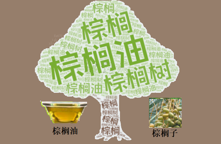库存见底与原油背离：棕榈油收跌原因解析(图1)